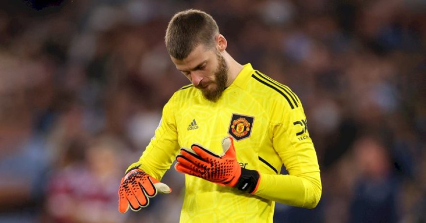 Nick Pope Injury Puts De Gea In The Frame For Newcastle Utd Move